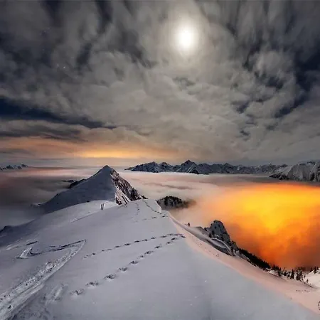 Vivifoppolo * 포폴로